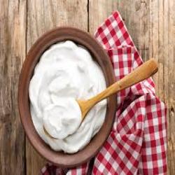 Curd &amp; Yogurt